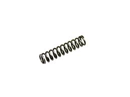 CZ 75 Kadet Extractor Spring